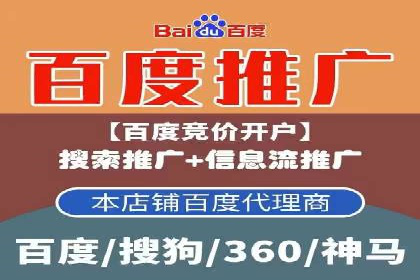 案例分享：SEM推广助力电商快速崛起